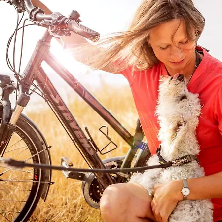 Blockhaus Im Ferienhauspark Asgard Damp